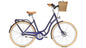 Raleigh Brighton 7 Curve