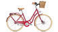 Raleigh Brighton 7 Curve